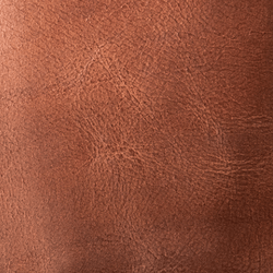 Telefon Bölmeli Uzun Cüzdan (Elara)